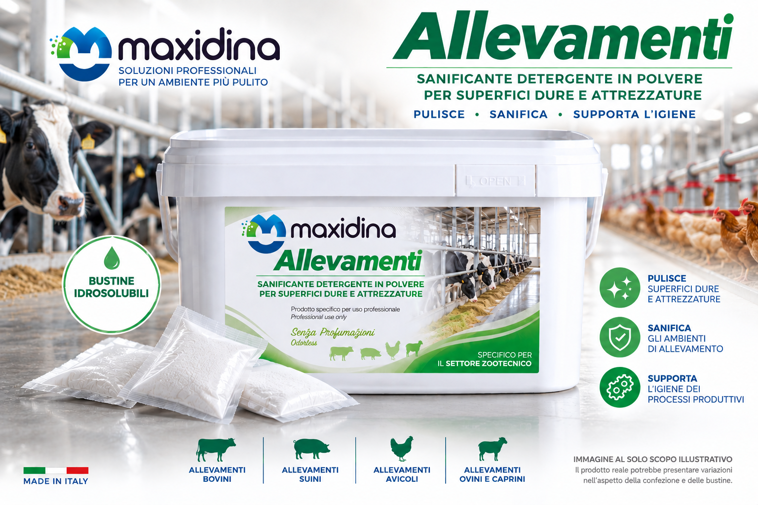 Maxidina Allevamenti – Sanificante Detergente Superfici Dure e Attrezzature 1 kg
